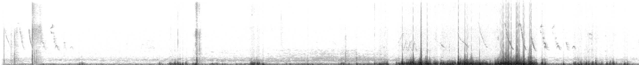 Semillero Corbatita - ML646110556