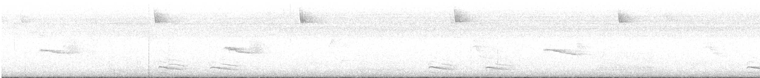 Black-crowned Antshrike - ML646111115