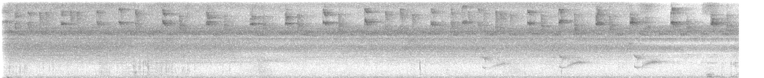 Blue-capped Manakin - ML646111190