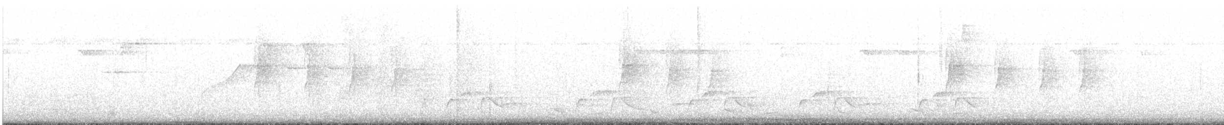 Spotted Antbird - ML646111251