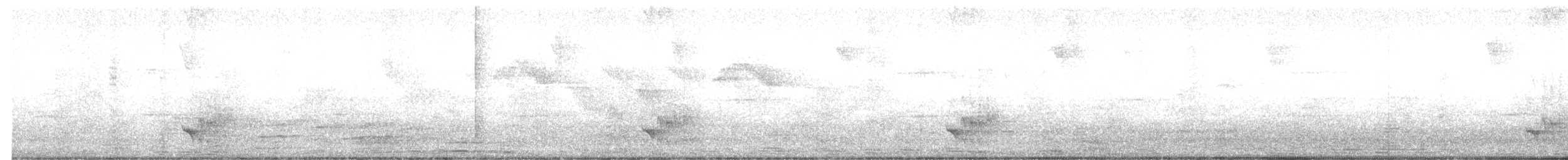 Large-billed Antwren - ML646111576