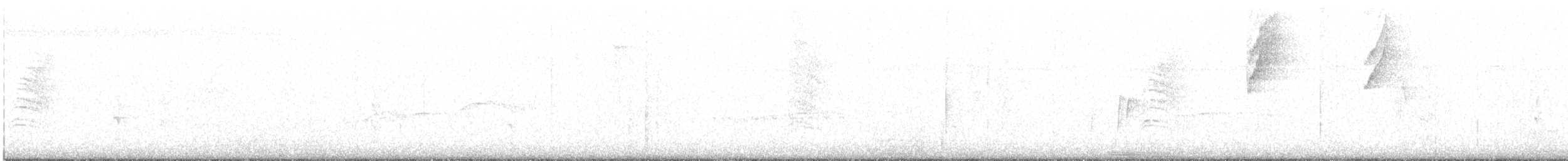 White-browed Gnatcatcher - ML646111657