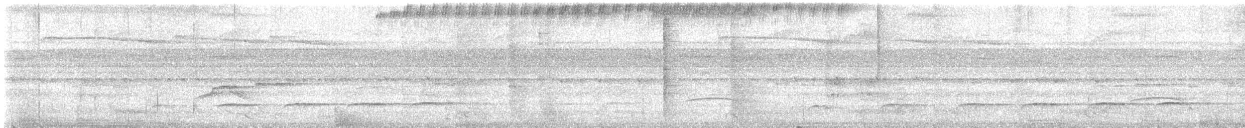 Желтопоясный атилла - ML646111769