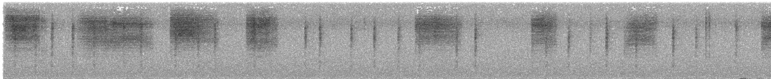 Black-tailed Gnatcatcher - ML646112372