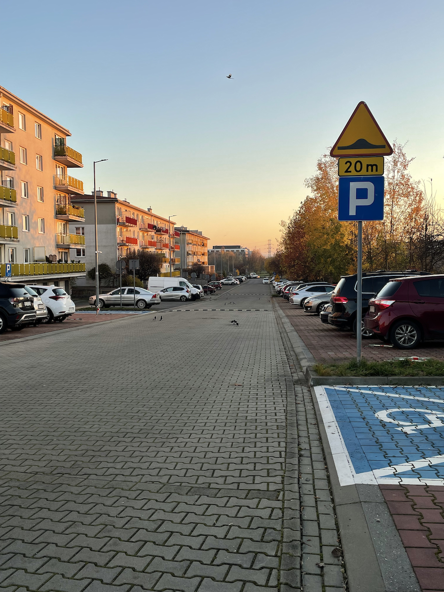 Eurasian Magpie - ML646112625