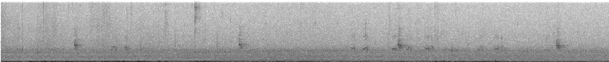 Syrian Woodpecker - ML646112782