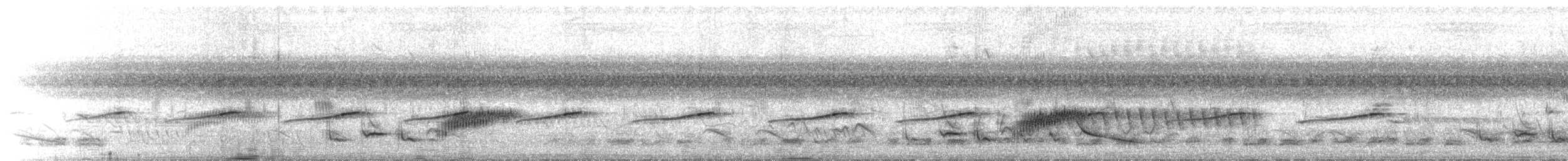 White-bellied Seedeater - ML646113125