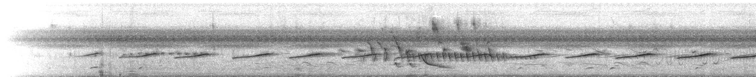 Ak Karınlı Tohumcul - ML646113182