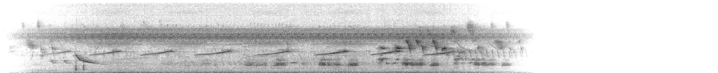 White-bellied Seedeater - ML646113220