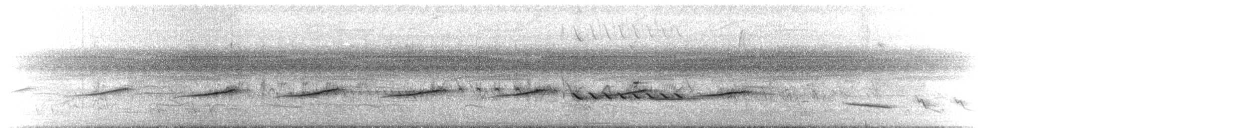 White-bellied Seedeater - ML646113248