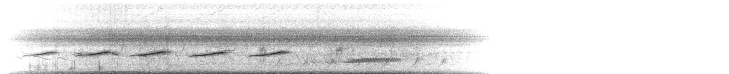 White-bellied Seedeater - ML646113391