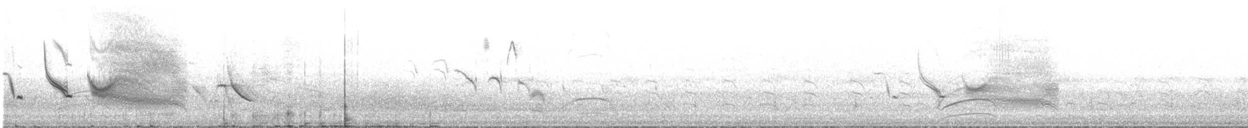 Long-tailed Meadowlark - ML646113723