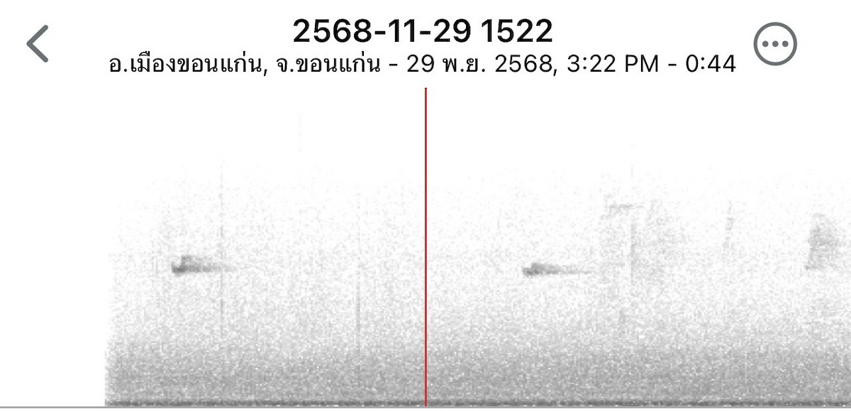Sakhalin Leaf Warbler - ML646114130