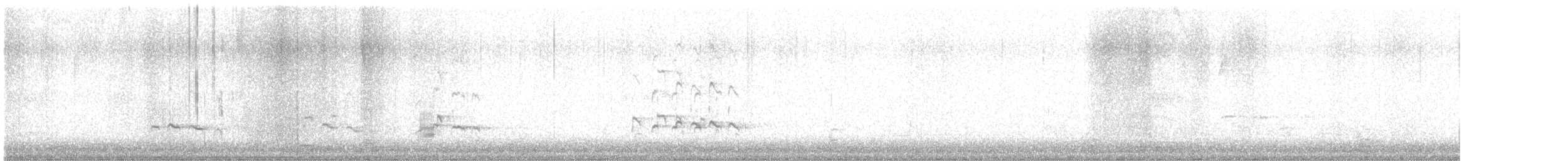 Пёстрый улит - ML646114408