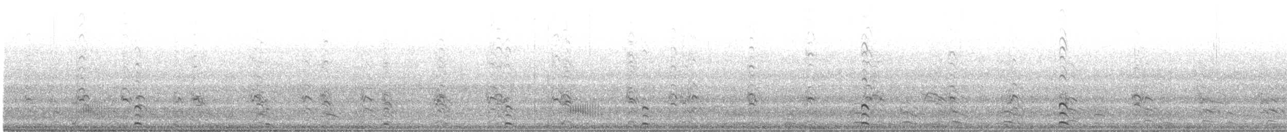 Andean Duck - ML646114481