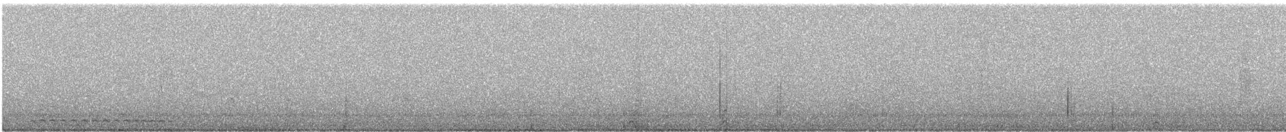 výreček západní - ML646114995