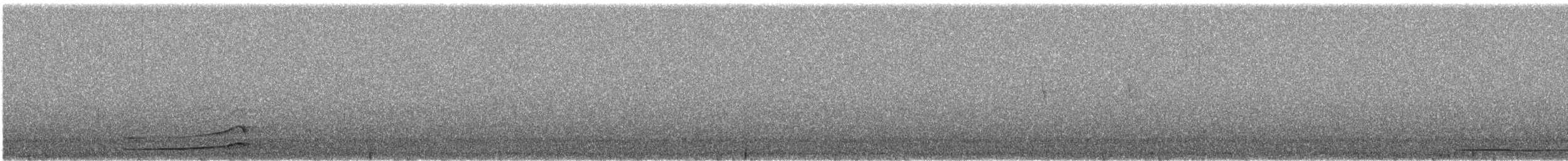 sýc americký - ML646115026