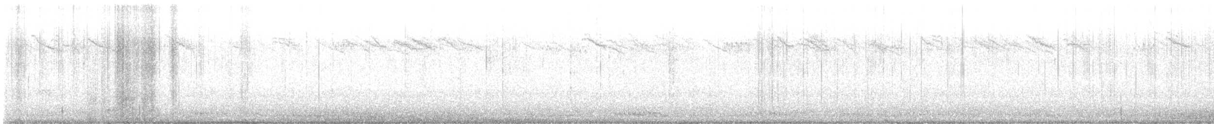 brkoslav americký - ML646115306