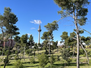 Madrid--Parque La Elipa, Madrid, Comunidad de, Spain - eBird Hotspot