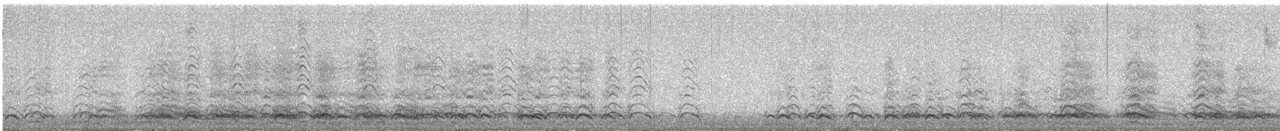 vrána americká - ML646115802