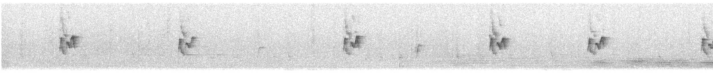 budníček altajský - ML646116707