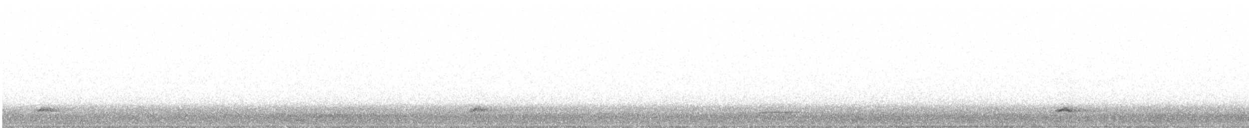 Black-crowned Night Heron - ML646117372