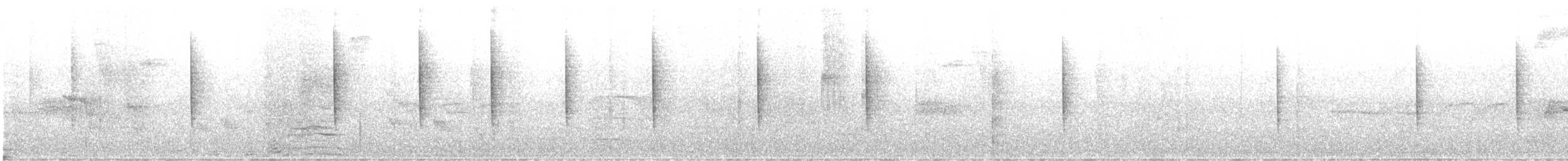 Black-throated Blue Warbler - ML646117480