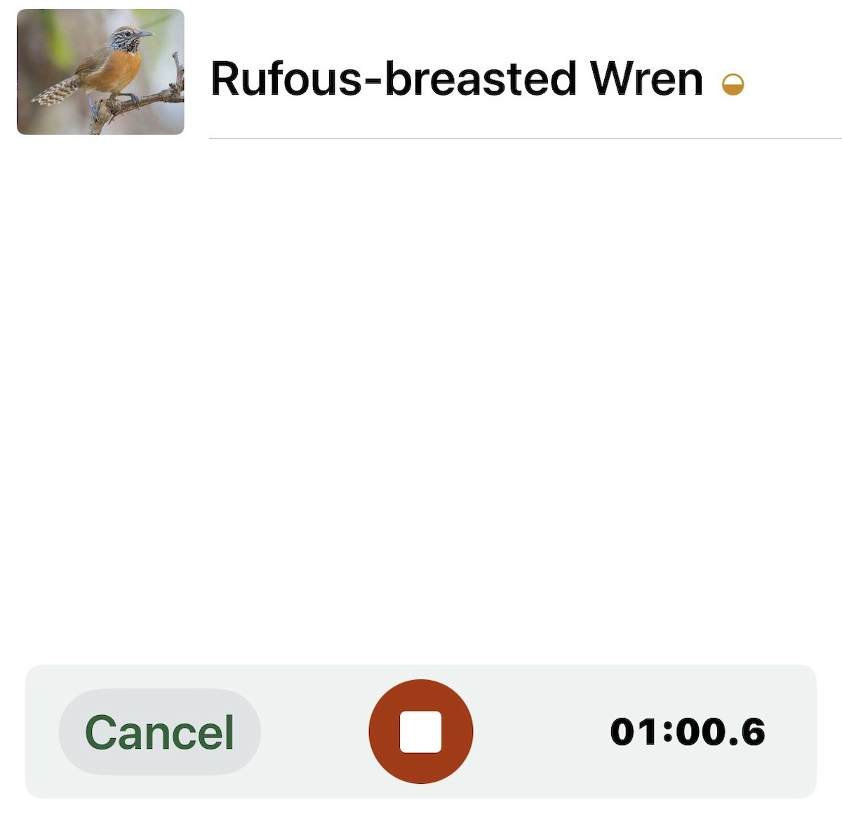 Rufous-breasted Wren - ML646117483