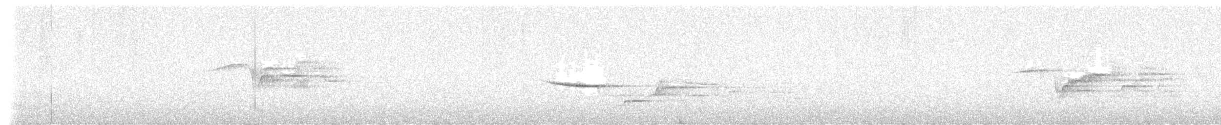 Hermit Thrush - ML646117747