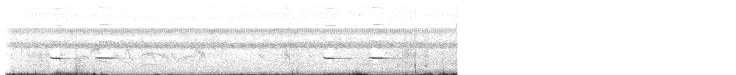 Striped Cuckoo - ML646117748