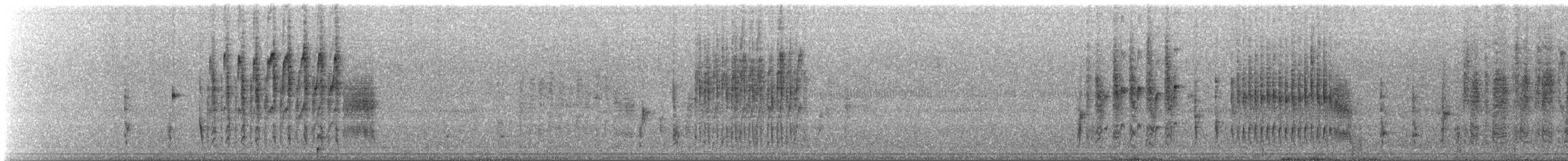 Marsh Wren - ML646118641