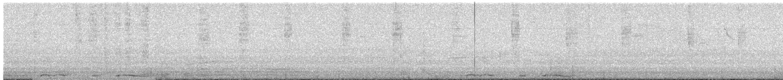 White-winged Dove - ML646118761