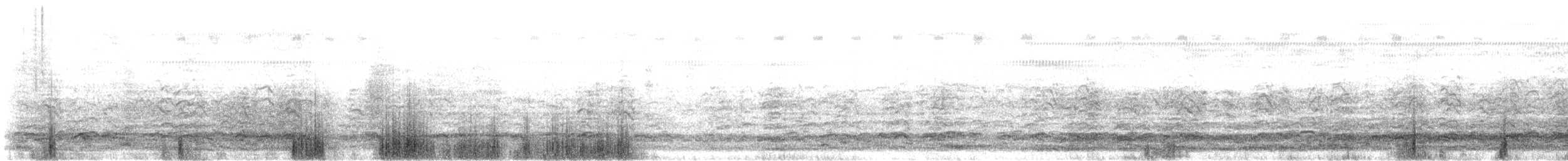 Snow Goose - ML646119080