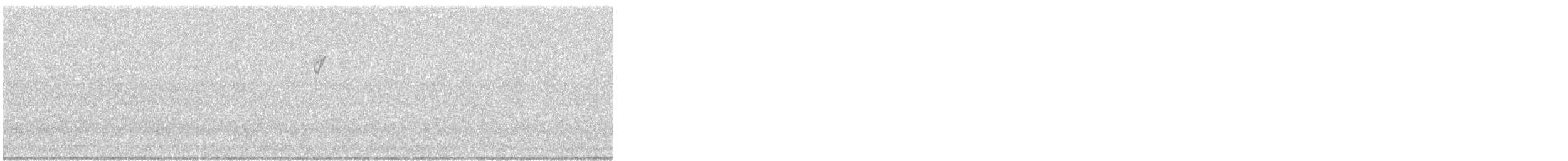 Chipping Sparrow - ML646119461