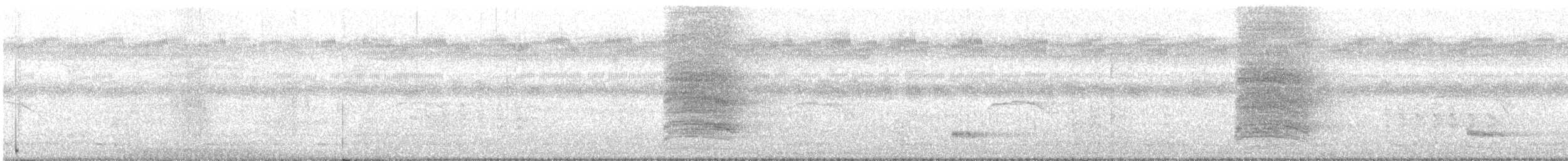 Kara Enseli Sarıasma - ML646120131