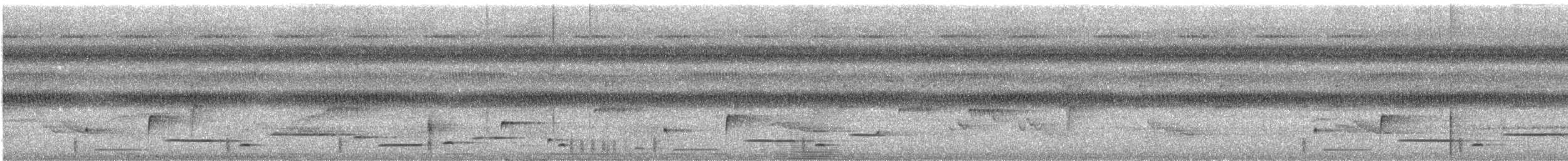 Musician Wren - ML646120593