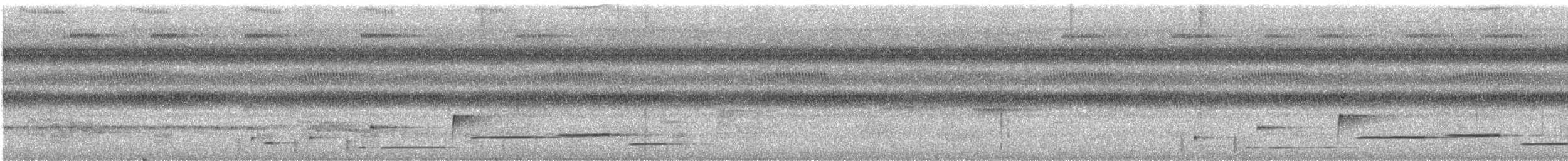 Musician Wren - ML646120594