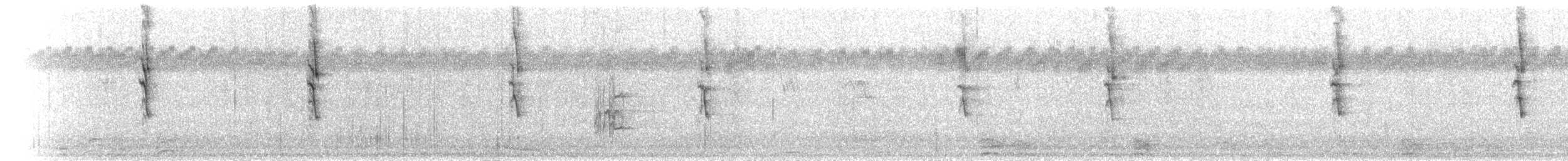 White-plumed Honeyeater - ML646121612