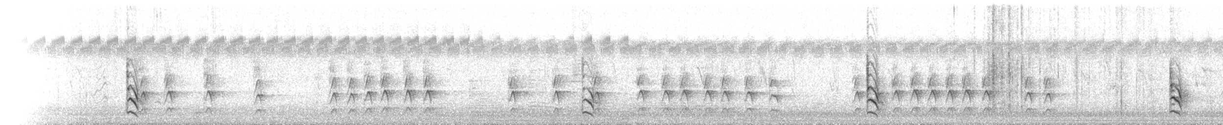 Gray-headed Honeyeater - ML646121615