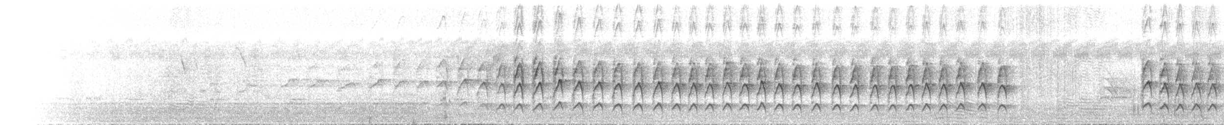 White-plumed Honeyeater - ML646121641