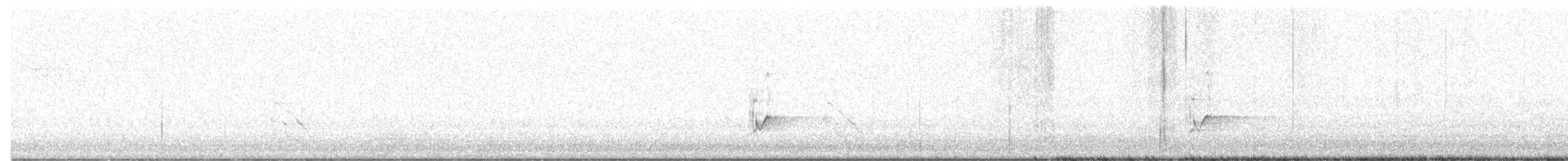 Азийн сүвээ цагаан - ML646121989