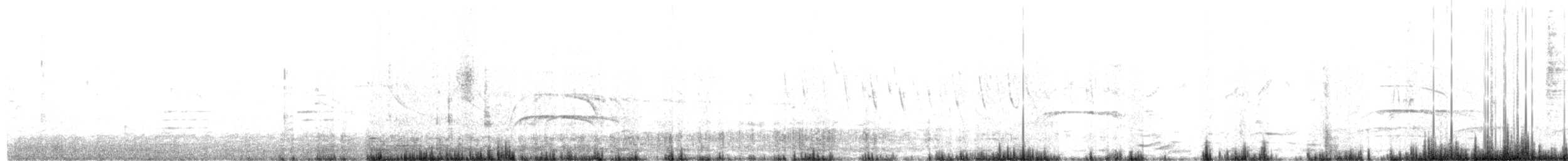 Gray-hooded Attila - ML646122549