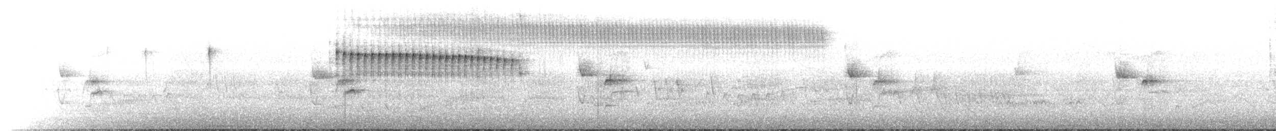 Gilded Hummingbird - ML646122790