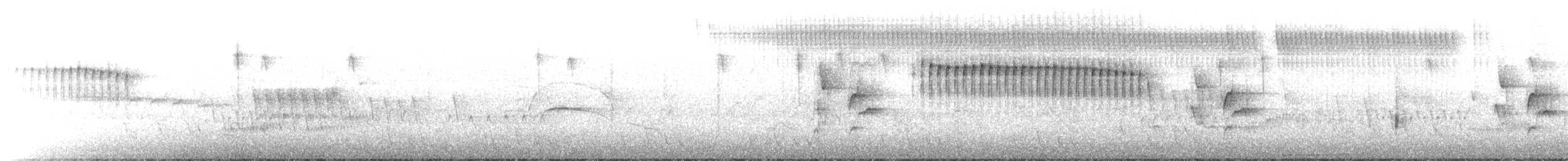 Gilded Hummingbird - ML646122858