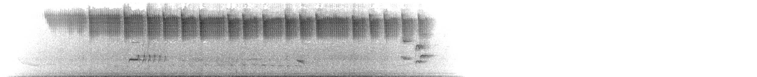 Gilded Hummingbird - ML646123048