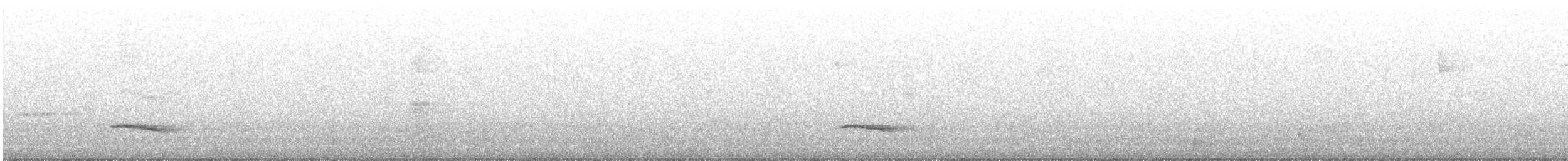 Chestnut-backed Antbird - ML646123825