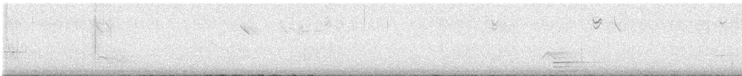 výr virginský - ML646123857