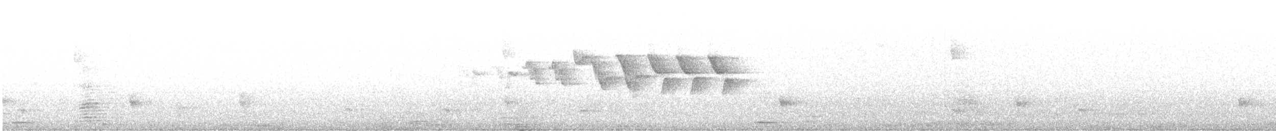 Slate-throated Redstart - ML646124314