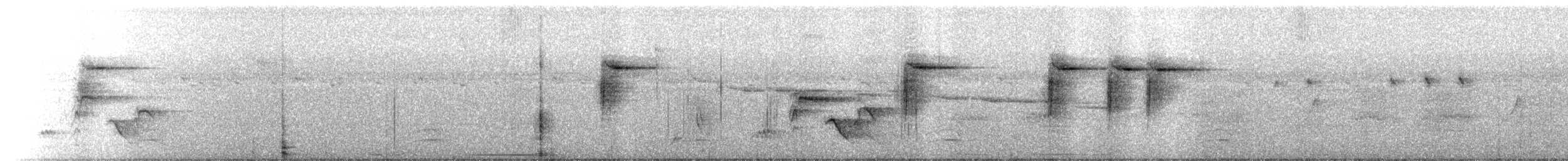 White-browed Warbler - ML646124534