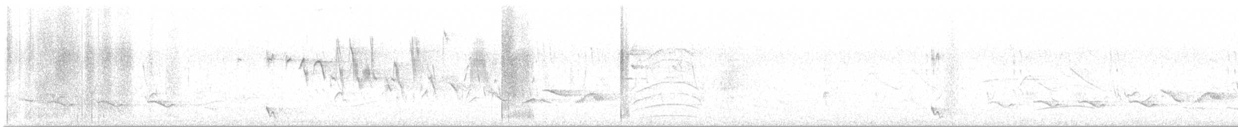 Schopftapaculo - ML646125212